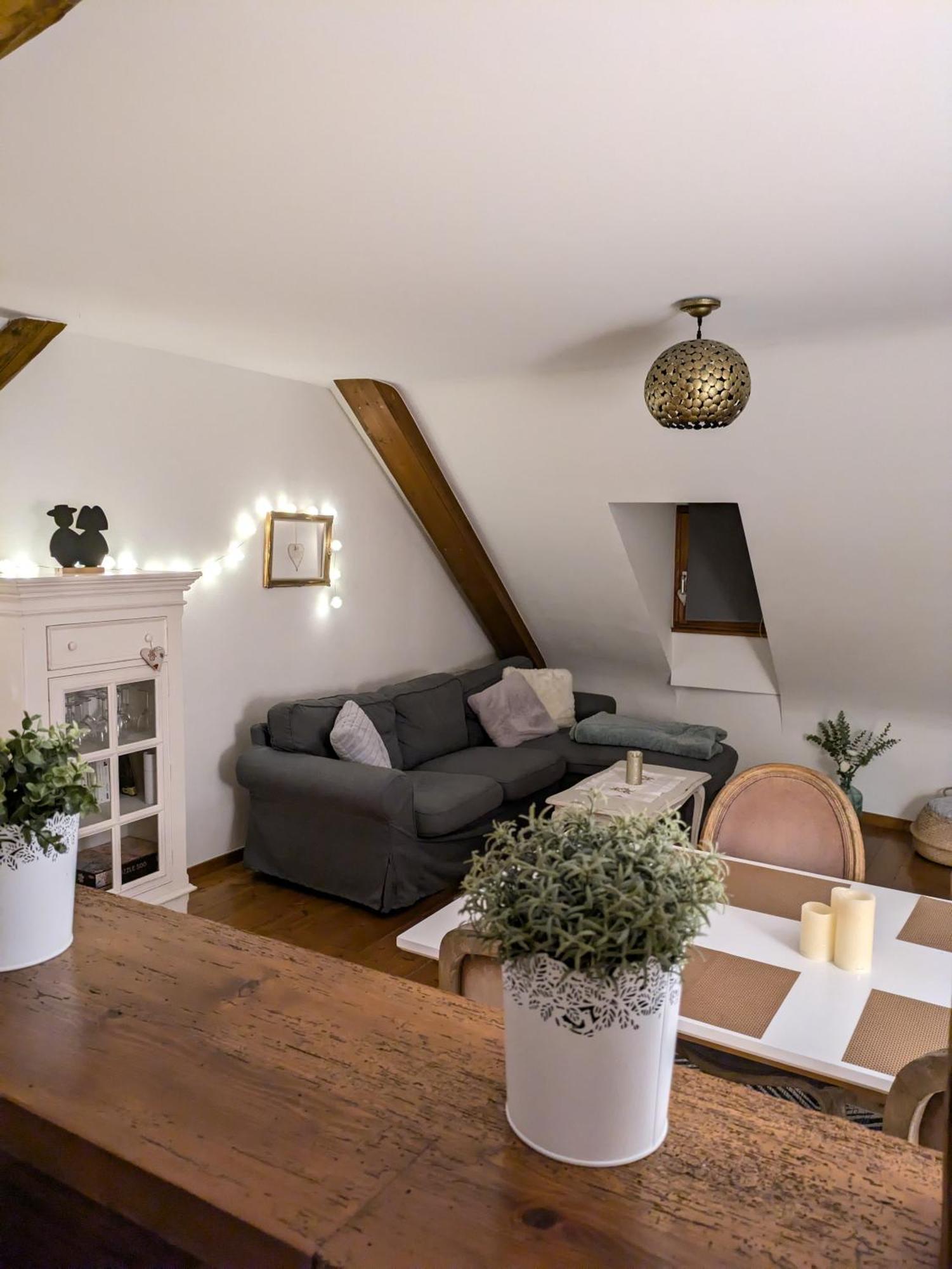 Les Toits De Turckheim Apartment Luaran gambar